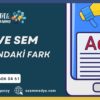 seo-ve-sem-hizmeti